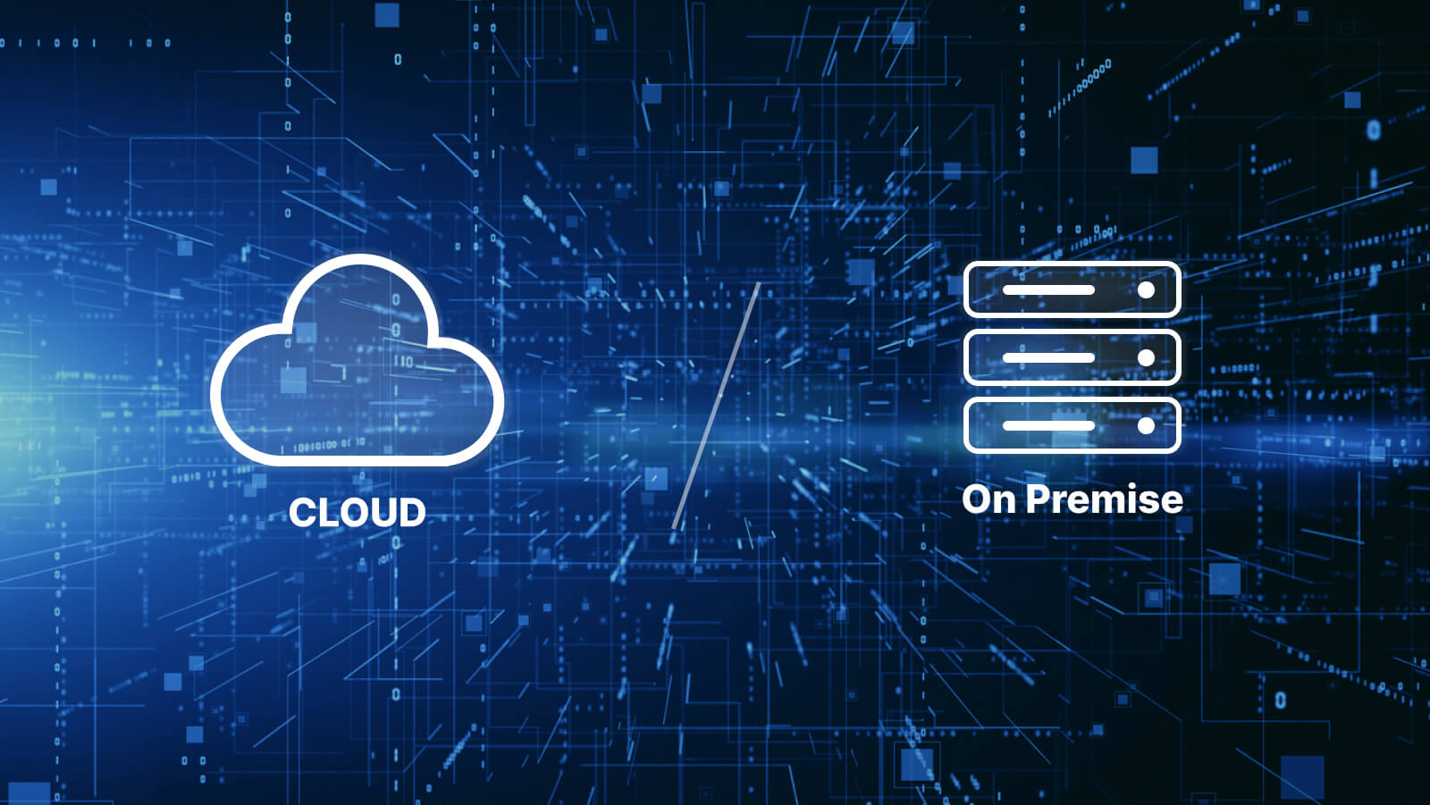 Software gestionale cloud vs on premise