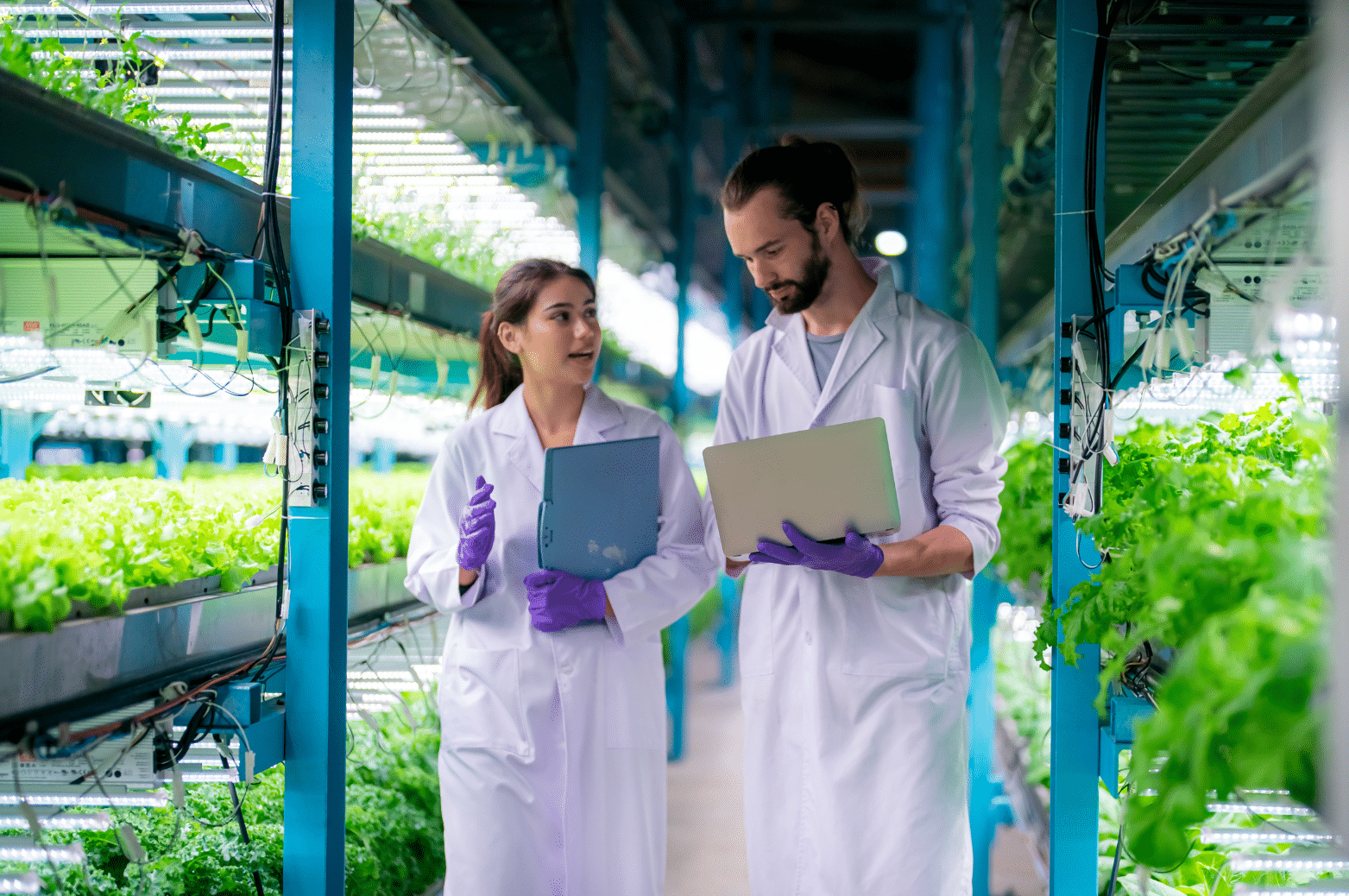 Controllo qualità alimentare e tracciabilità lotti